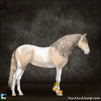 Horse Color:Gold Champagne Pearl Tobiano Rabicano 
