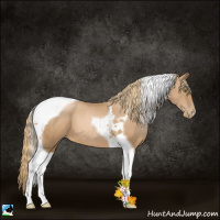 Horse Color:Chestnut Pearl Tobiano