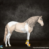 Horse Color:Gold Champagne Pearl Tobiano 