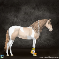 Horse Color:Gold Champagne Pearl Tobiano 