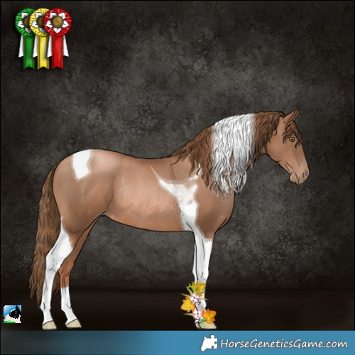 Horse Color:Liver Chestnut Pearl Tobiano Rabicano 