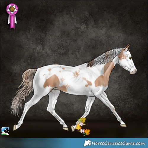Horse Color:Chestnut Pearl Splash Tobiano 