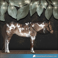 Horse Color:White Spotted Liver Red Dun Brindle 