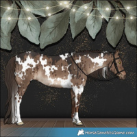 Horse Color:White Spotted Liver Red Dun Brindle 