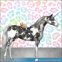 Horse Color:White Spotted Midnight Chocolate Silver Grullo Chinchilla Ice Sabino Brindle 