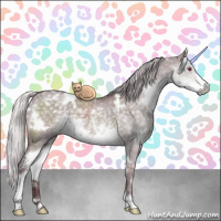 Horse Color:White Spotted Chocolate Silver Smoky Grullo Chinchilla Sabino Brindle 