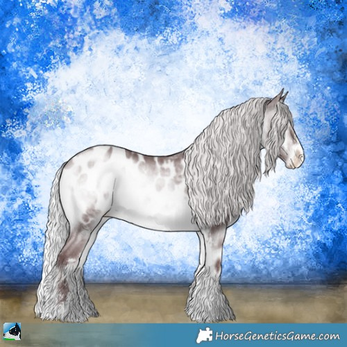 Horse Color:Chocolate Silver Brown Chinchilla Onyx Sabino Appaloosa Rabicano