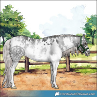 Horse Color:Platinum White Spotted Liver Chestnut Sabino 