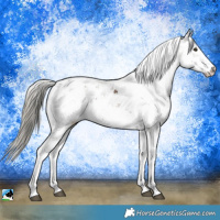 Horse Color:Liver Red Dun Ice Mushroom Sabino Rabicano Brindle 