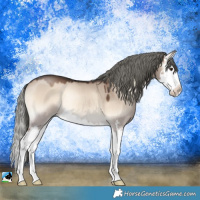Horse Color:Liver Red Dun Onyx Mushroom Sabino Splash Rabicano 