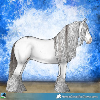 Horse Color:Liver Red Dun Sabino Rabicano 