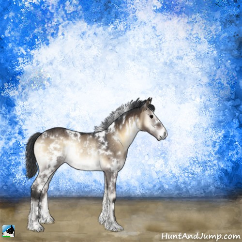 Horse Color:White Spotted Brown Onyx Rabicano 
