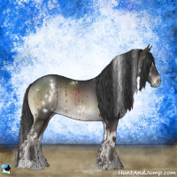 Horse Color:White Spotted Blue Onyx Sabino Rabicano 