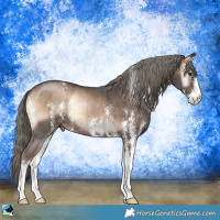 Horse Color:Liver Red Onyx Mushroom Sabino Rabicano Brindle 
