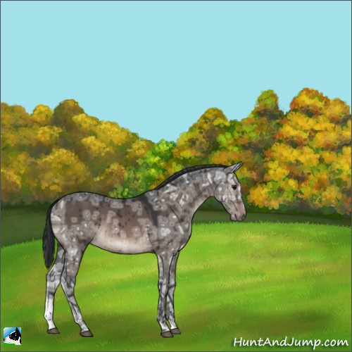 Horse Color:Brown Ice Dun Mushroom Sabino Rabicano Brindle 