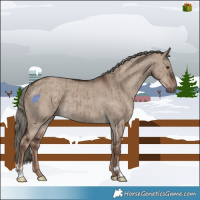 Horse Color:Liver Red Dun Mushroom Rabicano Brindle 