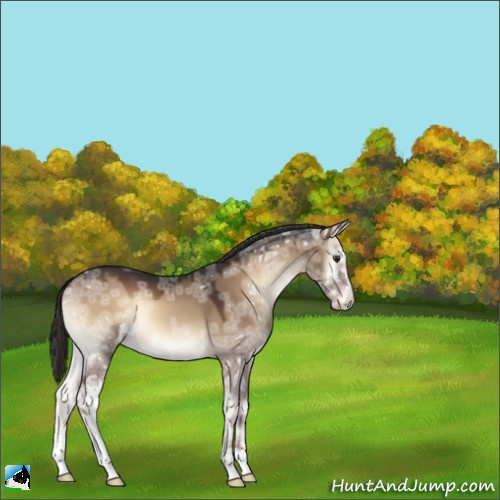 Horse Color:Liver Red Dun Ice Onyx Sabino 