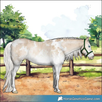 Horse Color:White Spotted Cremello Dun Rabicano Brindle 