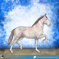Horse Color:Nacre Chocolate Perlino Sabino 