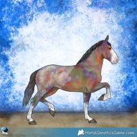 Horse Color:Nacre Brown Ice Sabino 
