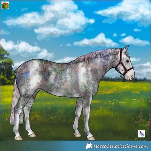 Horse Color:Nacre Silver Buckskin Chinchilla Ice Dun Sabino Rabicano 