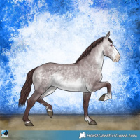 Horse Color:Chocolate Brown Chinchilla Dun Sabino 