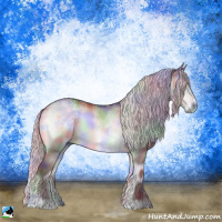 Horse Color:Nacre Chocolate Silver Brown Chinchilla Onyx Sabino Rabicano