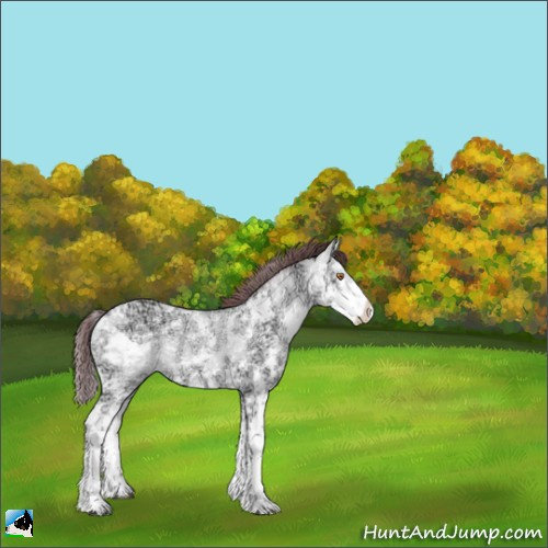 Horse Color:Chocolate Buckskin Chinchilla Ice Sabino 
