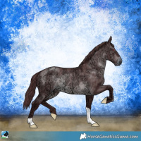 Horse Color:Chocolate Brown Chinchilla Ice 