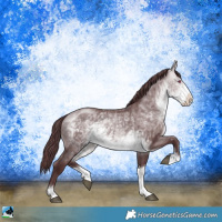 Horse Color:Chocolate Buckskin Chinchilla Sabino Rabicano