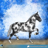 Horse Color:White Spotted Silver Brown Chinchilla Ice 