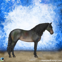 Horse Color:Brown Sabino