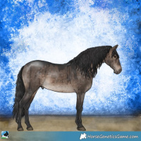 Horse Color:Brown Dun Mushroom Rabicano Brindle 