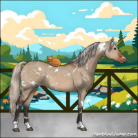 Horse Color:White Spotted Silver Brown Dun Appaloosa 