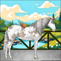 Horse Color:White Spotted Silver Grullo Onyx Splash Appaloosa