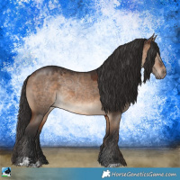 Horse Color:Brown Dun Sabino Rabicano 
