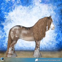 Horse Color:Liver Red Dun Sabino Rabicano