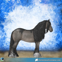 Horse Color:Grullo Sabino Rabicano 