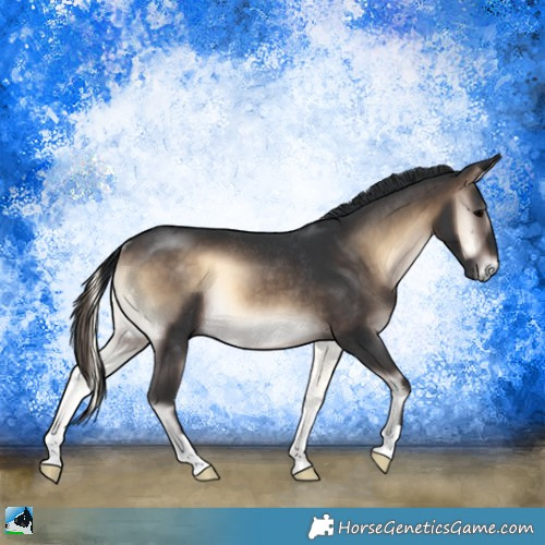 Horse Color:Brown Onyx Rabicano 