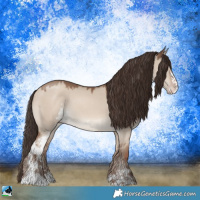 Horse Color:Classic Champagne Dun Sabino 