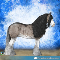 Horse Color:Brown Dun Mushroom Sabino Splash Rabicano Brindle