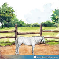 Horse Color:Liver Red Dun Roan Mushroom Sabino Appaloosa 
