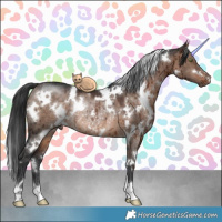 Horse Color:White Spotted Brown Dun Rabicano Brindle