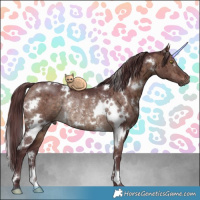 Horse Color:White Spotted Chocolate Brown Dun Rabicano Brindle 