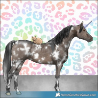 Horse Color:White Spotted Brown Ice Dun
