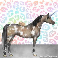 Horse Color:White Spotted Brown Ice Dun