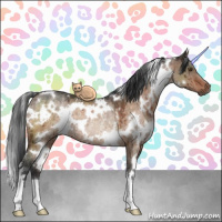 Horse Color:White Spotted Brown Dun Mushroom Rabicano Brindle 