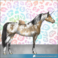 Horse Color:White Spotted Buckskin Dun Rabicano Brindle