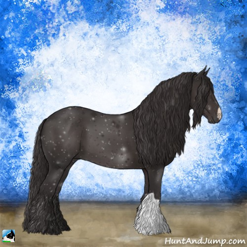 Horse Color:Smoky Black