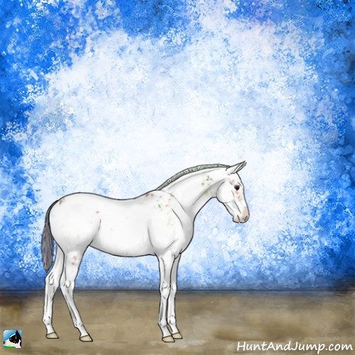 Horse Color:Nacre Plaid  Bay Ice Onyx Sabino Appaloosa 